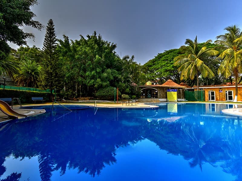 Poolside sangeet